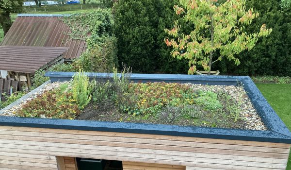 Image - Flachdach Start